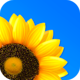 Gallery आइकन