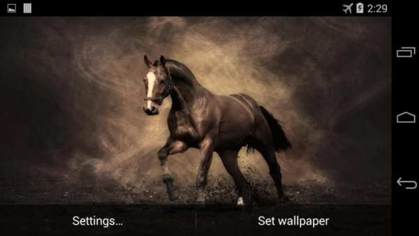 Horse Live Wallpaper FREE screenshot 2