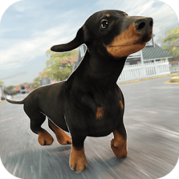 Dog Run - City Training 3D आइकन