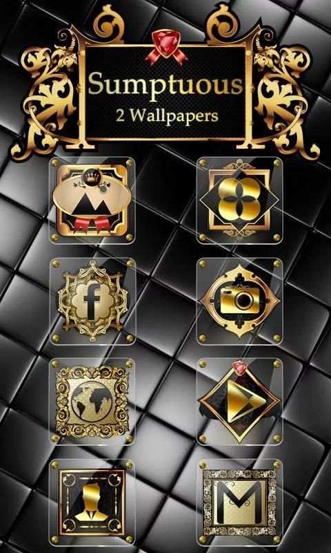 Sumptuous GO Launcher Theme screenshot 1