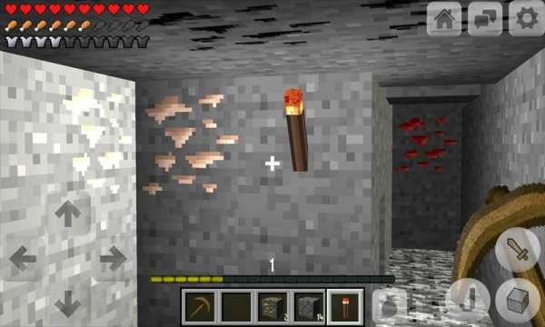 Multicraft: Pro Edition screenshot 6