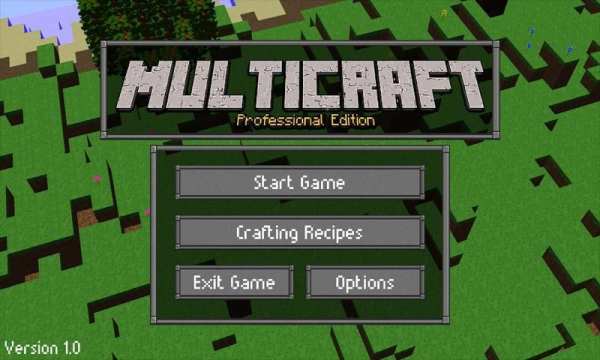 Multicraft: Pro Edition скриншот 9