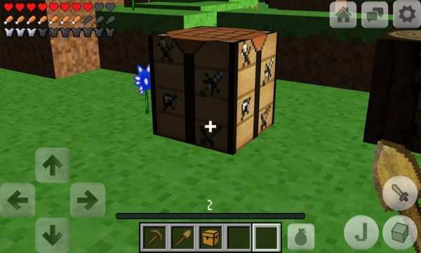 Multicraft: Pro Edition скриншот 8