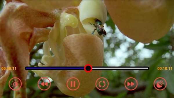 MP4/3GP/AVI HD Video Player स्क्रीनशॉट 5