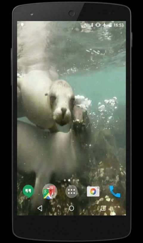 4K Video Live Wallpaper screenshot 9