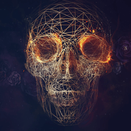 ikon Skull Api