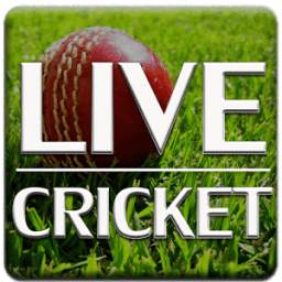 T20 Live Cricket Score