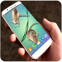 Mouse In Phone - Prank أيقونة