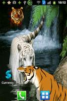 Angry Tiger Magic Touch скриншот 2
