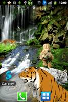 Angry Tiger Magic Touch скриншот 1