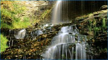 Nature Backgrounds screenshot 1