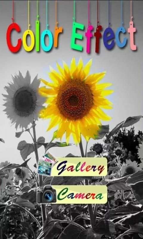 Color Splash Effect : Touch स्क्रीनशॉट 1