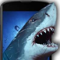 Shark Attack Live Wallpaper