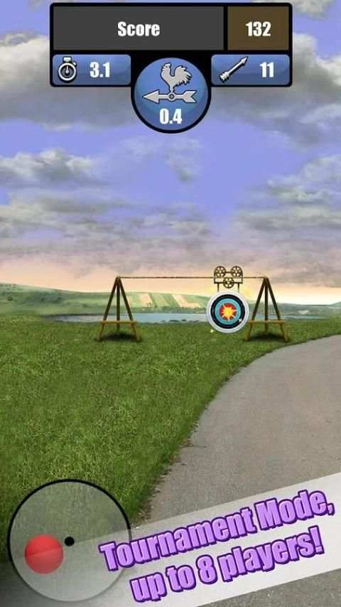Archery Tournament 5 تصوير الشاشة