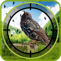 Birds Hunter in Jungle icon