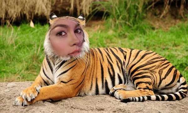 Animal Photo Frames स्क्रीनशॉट 2