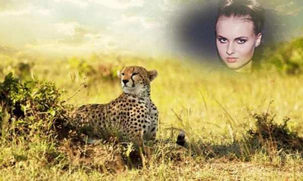 Animal Photo Frames 1 تصوير الشاشة