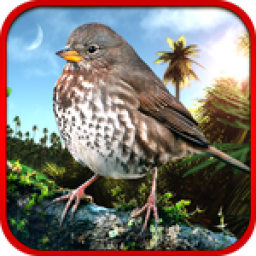 Sparrow Hunting icon