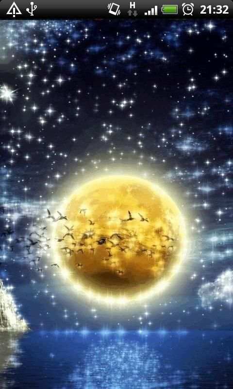 Full Moon Birds Live Wallpaper screenshot 1