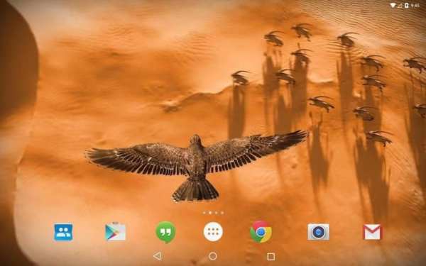 Heavenly Bird Fly Live Wallpaper скриншот 2