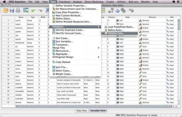 Using SPSS Manual 14 screenshot 1