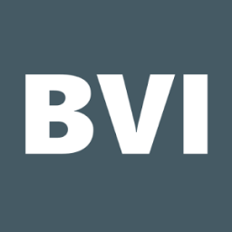 BVI Connect иконка