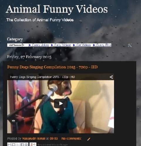 Video Binatang Lucu screenshot 2