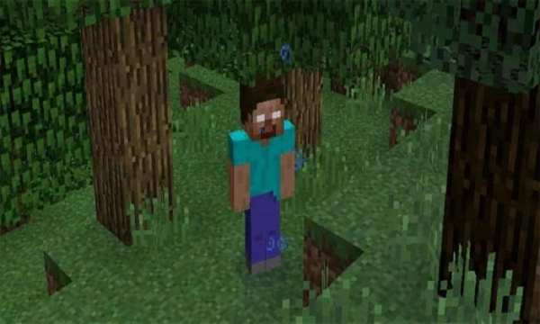 Herobrine Mod for MCPE screenshot 2