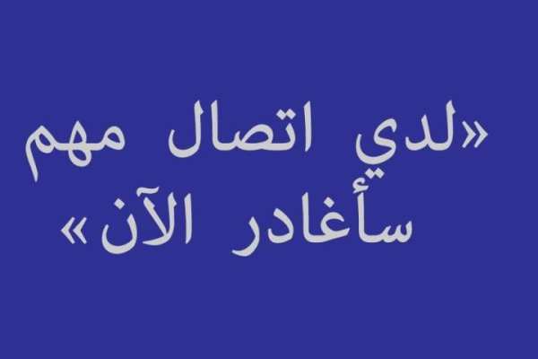 إتصال وهمي صوت 2016 PRANK screenshot 2