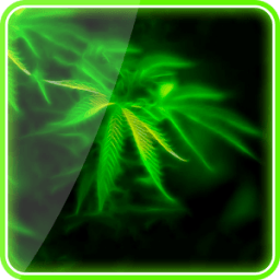 Weed Live Wallpaper icon