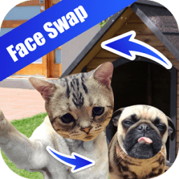 Face Detection Swap иконка