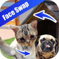 Face Detection Swap on 9Apps