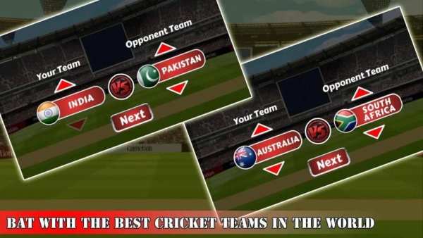 Cricket World Championship screenshot 13