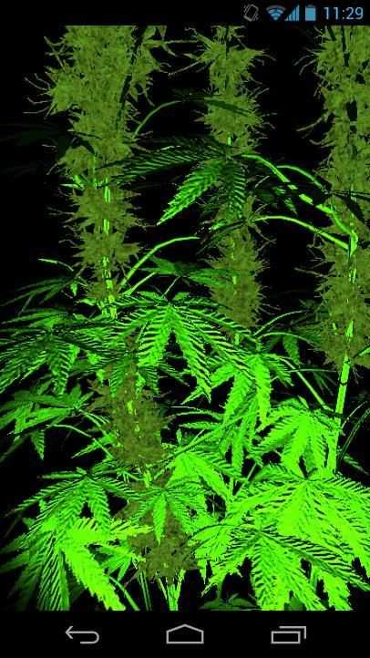 Weed 3D Live Wallpaper 2 تصوير الشاشة