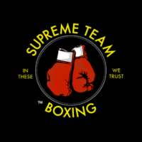 Supreme Team Boxing on 9Apps