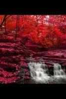 Beautiful Waterfalls screenshot 1