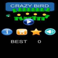 Crazy Bird
