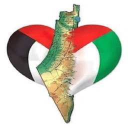 دردشة فلسطين 1.0