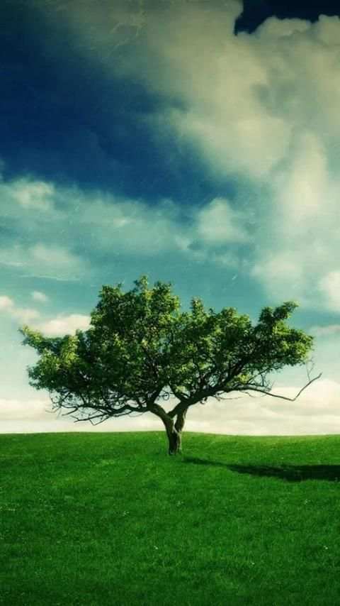 Wallpaper Galaxy S6 9 تصوير الشاشة