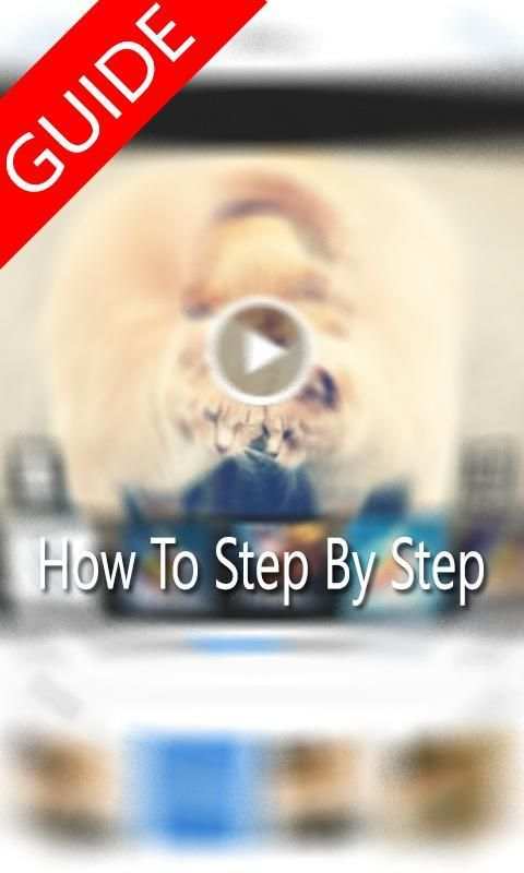 Guide for VivaVideo Movie Edit 3 تصوير الشاشة