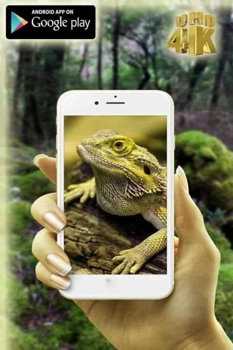 Digital Zoom Camera 360 Pro скриншот 1