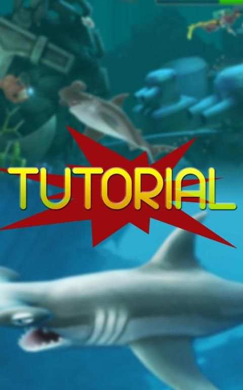 Free Hungry Shark Tutorial screenshot 3