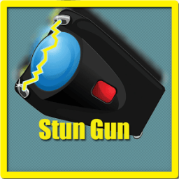 ikon Electric Stun Gun