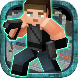 Diverse Block Survival Series иконка