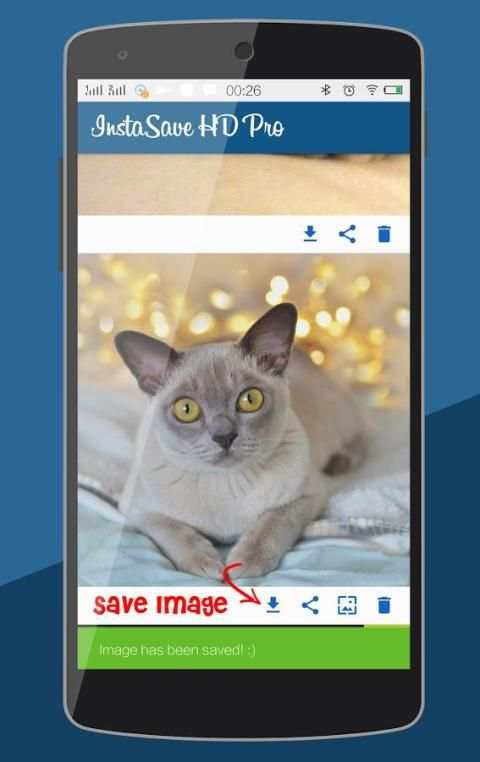 Save Instagram Videos screenshot 1