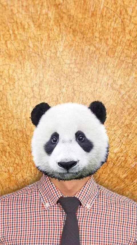 Animal Face Photo Editor 2 تصوير الشاشة