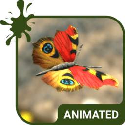 Butterfly Animated Keyboard