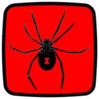 الأرملة السوداءخلفيات متحركة on 9Apps