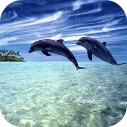 ikon Magic Dolphins Live Wallpaper