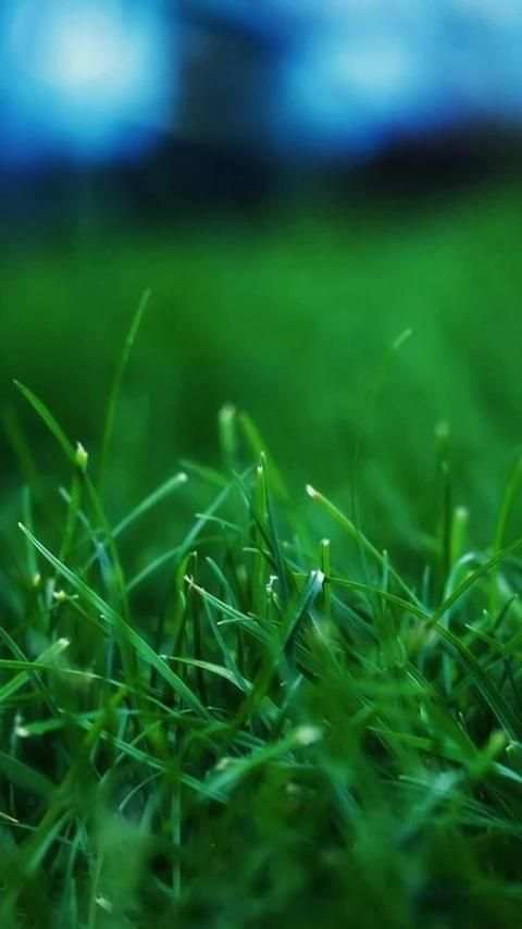 HD Backgrounds(Wallpaper) screenshot 4